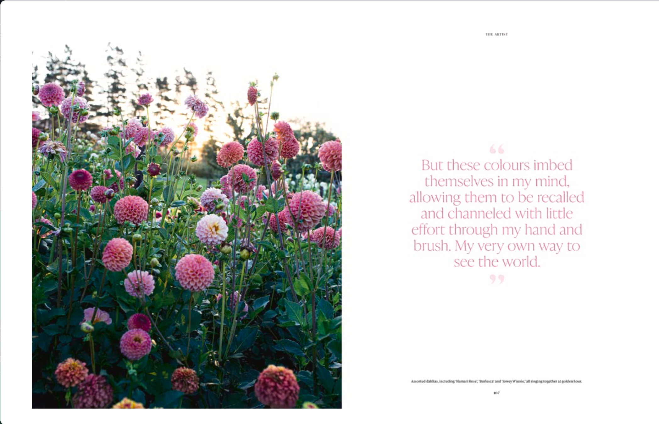 Book Lost and Found Floral scene with text on a white background