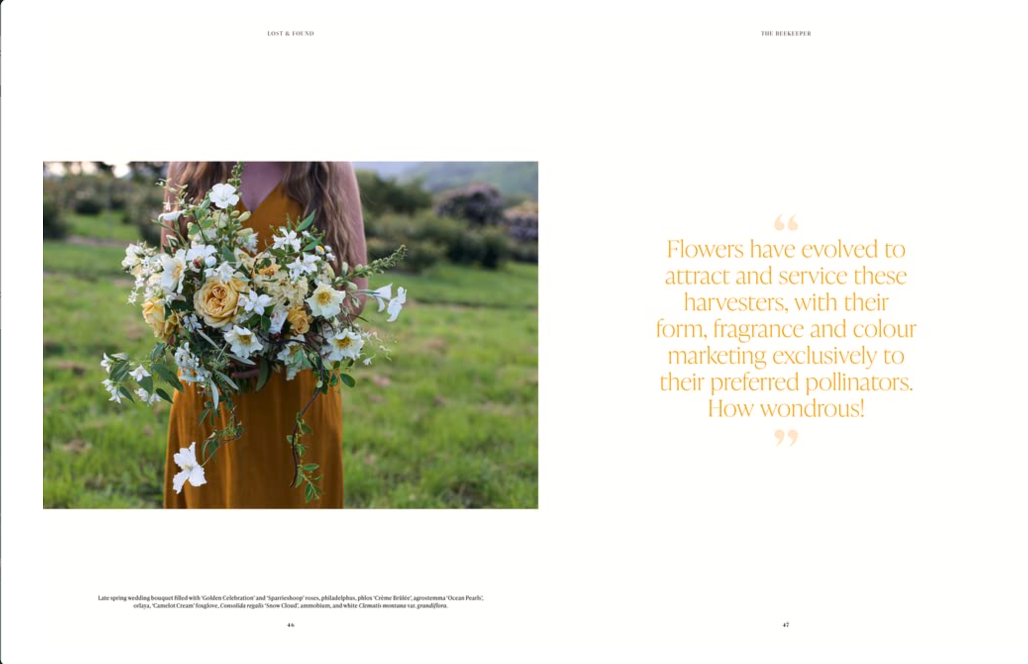Book Lost and Found Person holding a bouquet of flowers in a field with text on a white background
