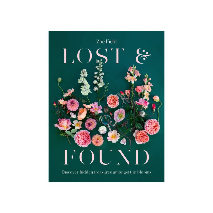 Book Lost and Found