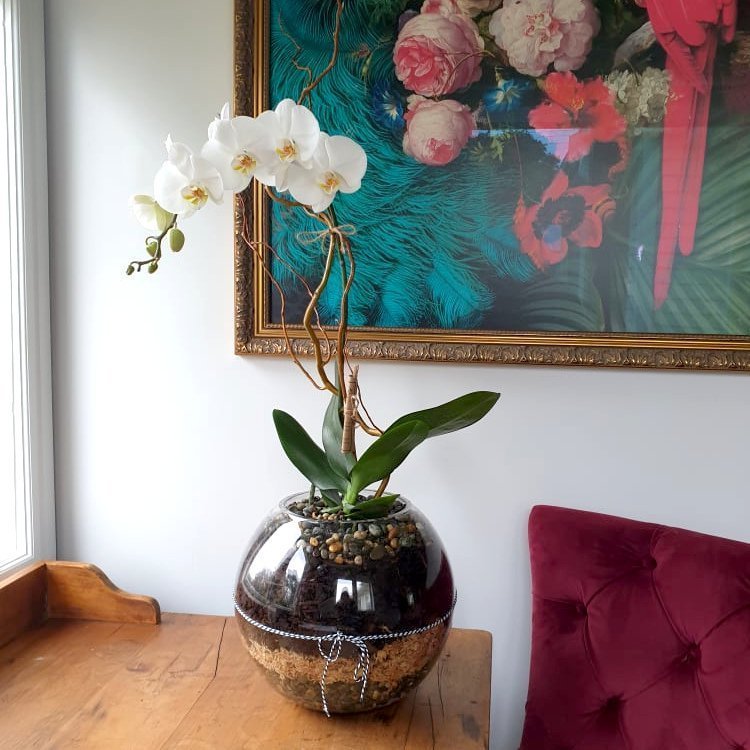 large orchid bowl with white orchids on a home or office table wooden surface, with a colorful floral painting in the background.