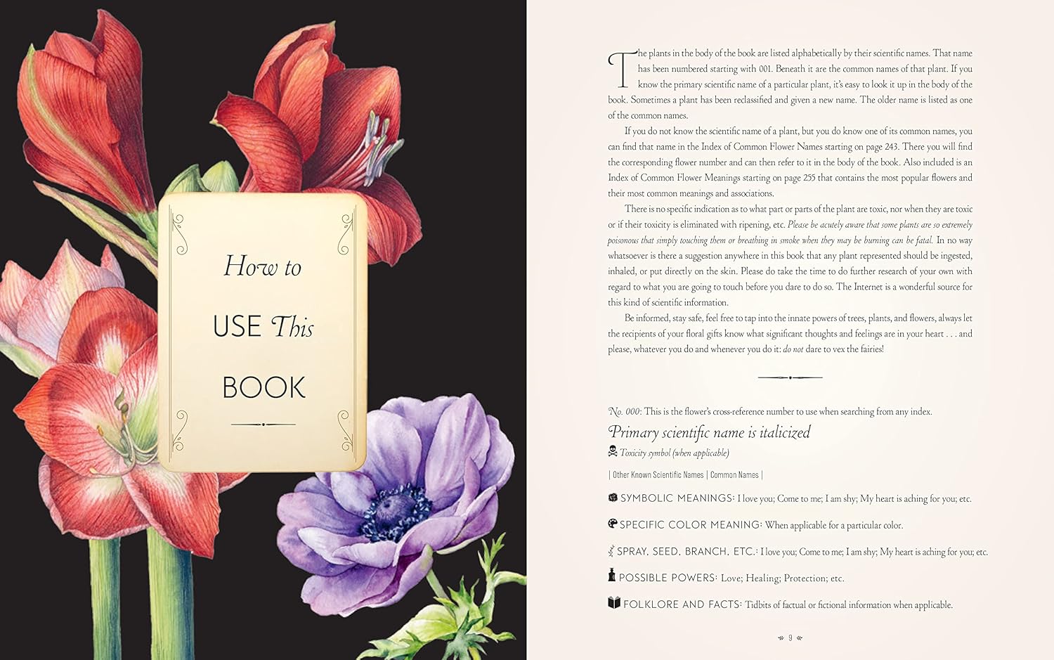 Book The Complete Language of Flowers Floral design with a 'How to Use This Book' card and text on a black background