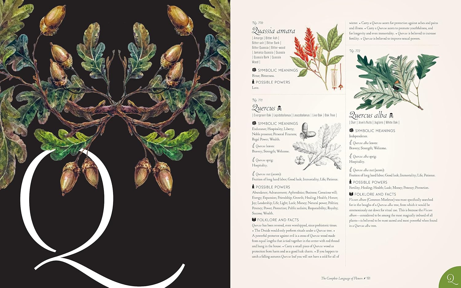 Book The Complete Language of Flowers Illustration of acorns and leaves with text on a black background