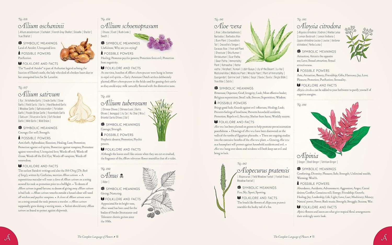 Book The Complete Language of Flowers Illustrated guide to various plants with images and text on a white background
