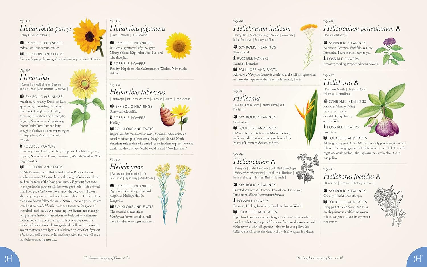 Book The Complete Language of Flowers Floral diagram with Helianthus species on a white background