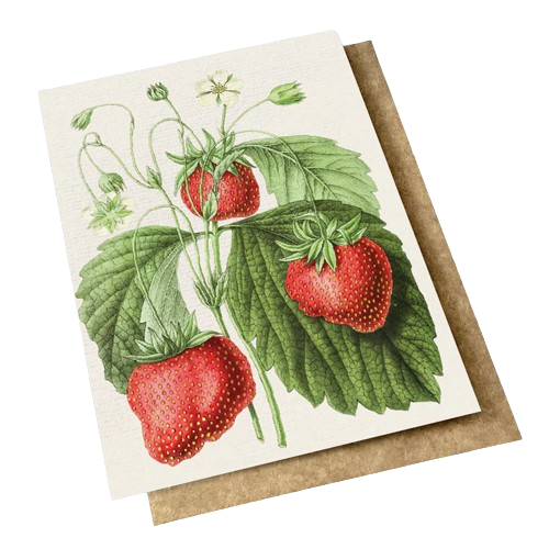 Card with vintage botanical hydrangeas in pink on it