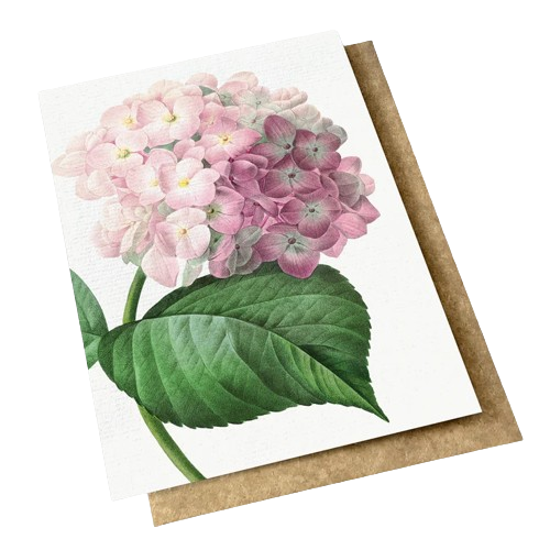 Mother's Day Cards