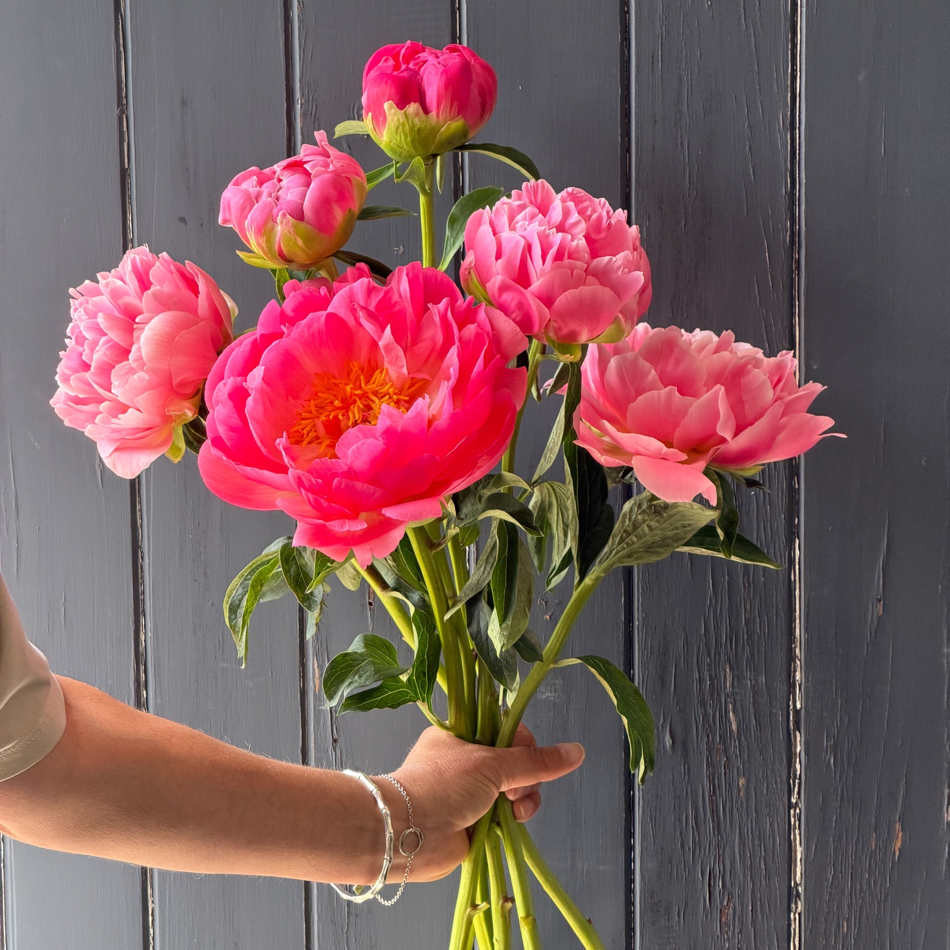 Peonies