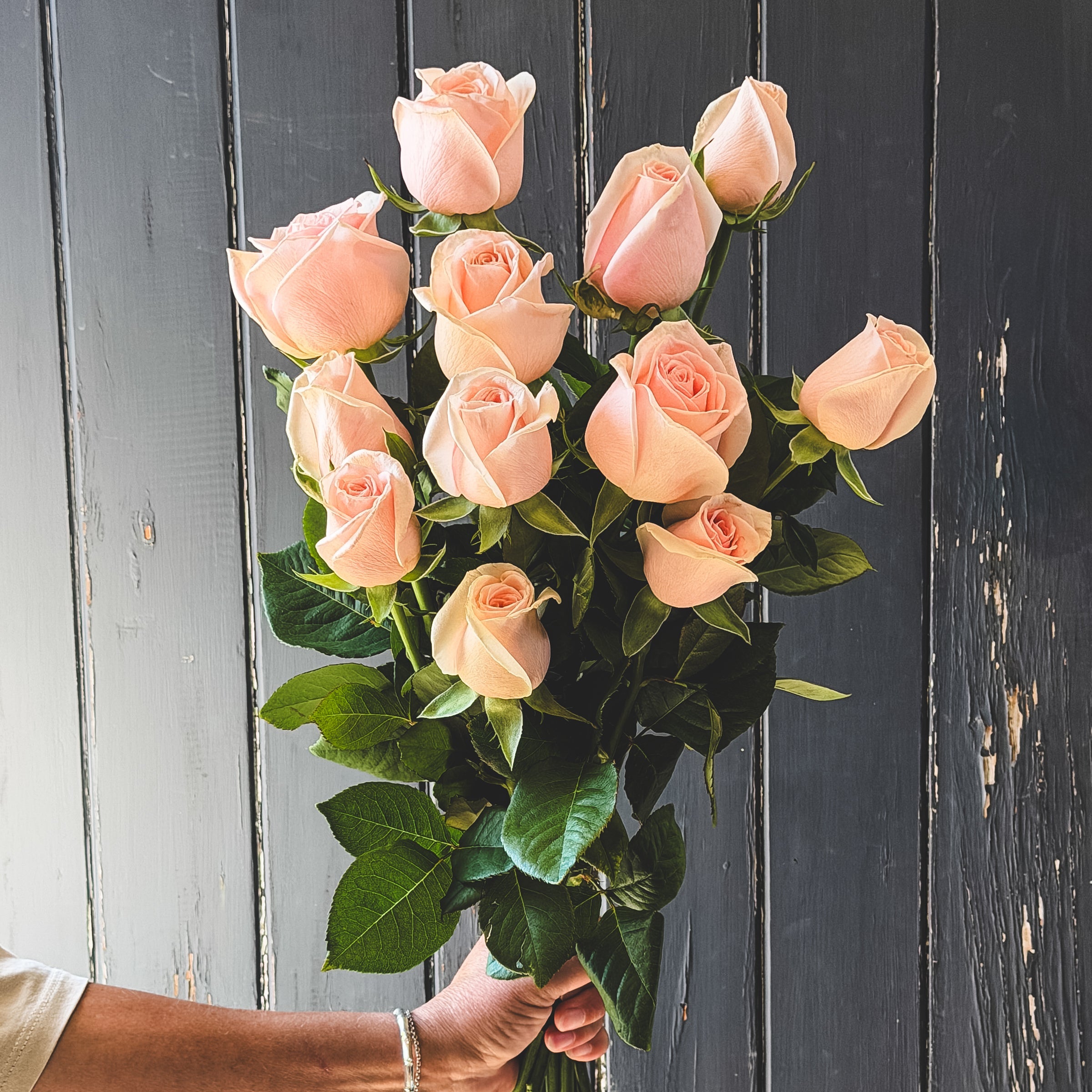 Roses