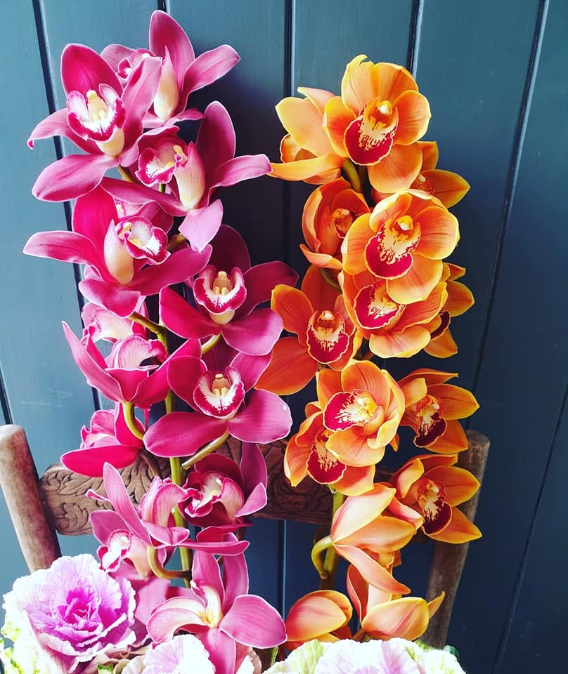 Seasonal Stems
