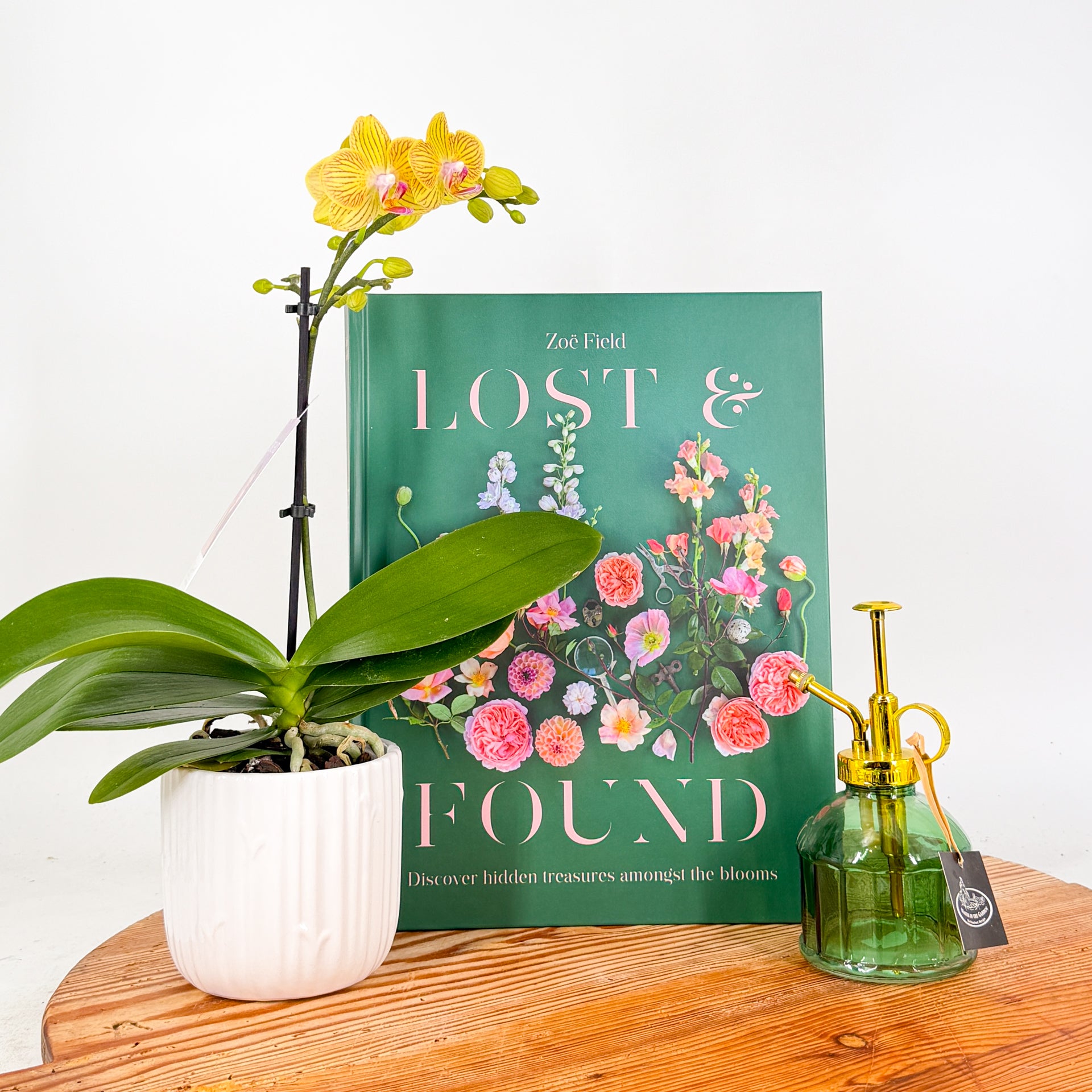 Book titled 'Lost & Found' with a potted plant and a small green bottle on a wooden surface.
