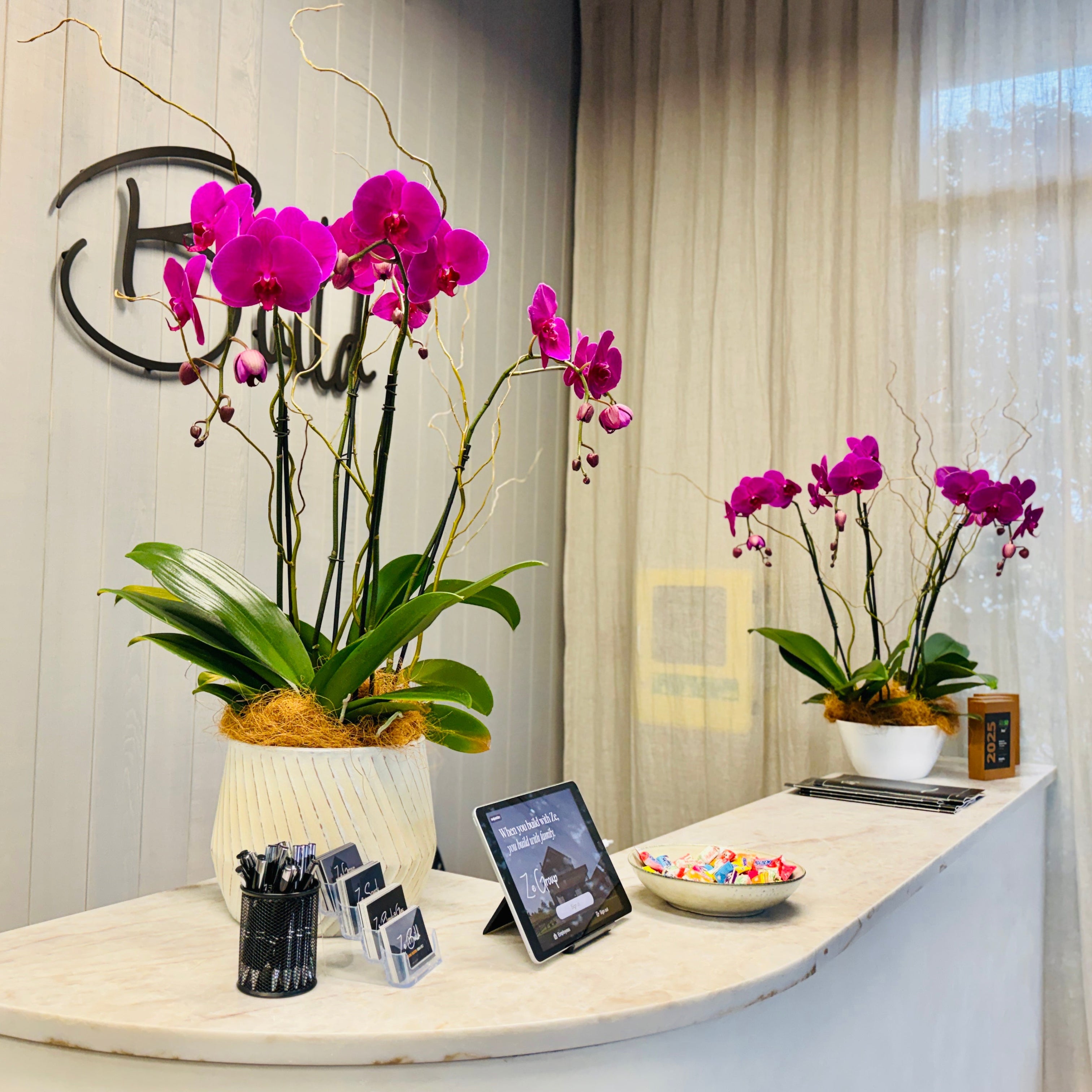 orchid plants in large bowls on a counter