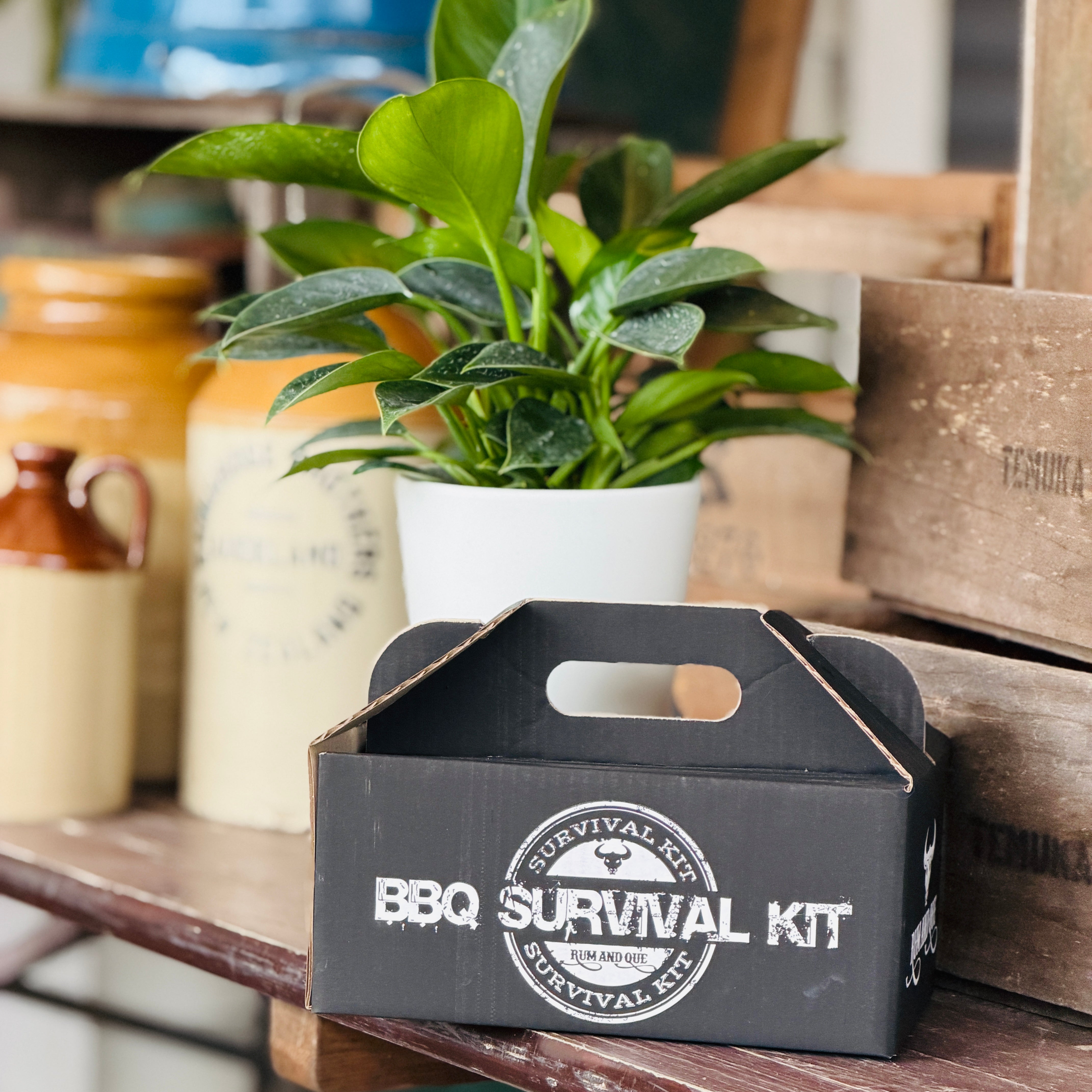 Plant and Rum & Que BBQ seasoning kit