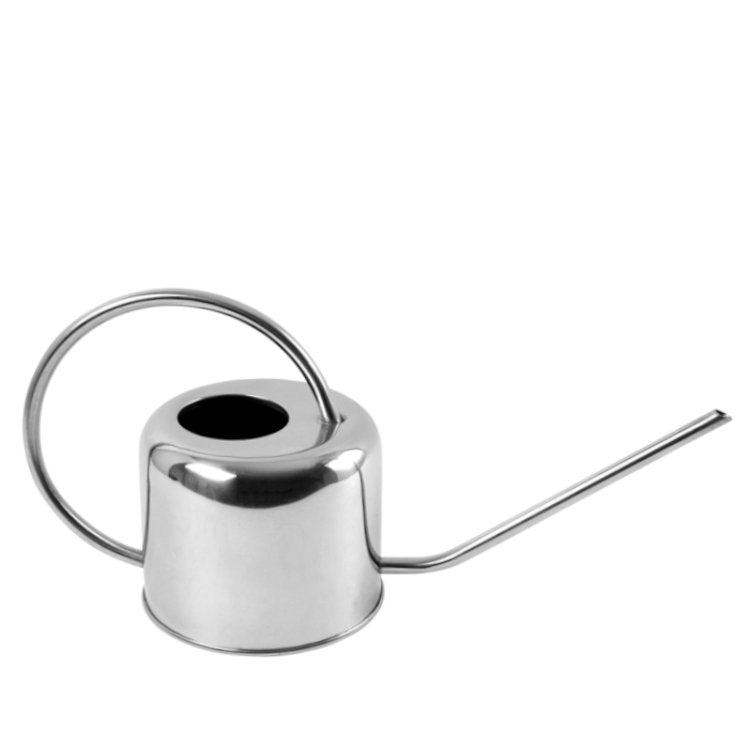 Stainless steel watering can