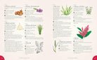 Book The Complete Language of Flowers Illustrated guide to various plants with images and text on a white background