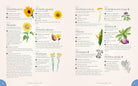 Book The Complete Language of Flowers Floral diagram with Helianthus species on a white background