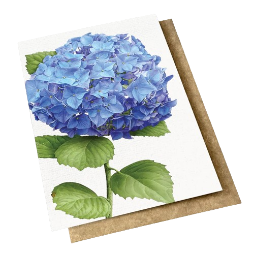 Card with vintage botanical hydrangeas in blue on it