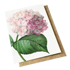 Card with vintage botanical hydrangeas in pink on it
