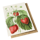 Card with vintage botanical hydrangeas in pink on it