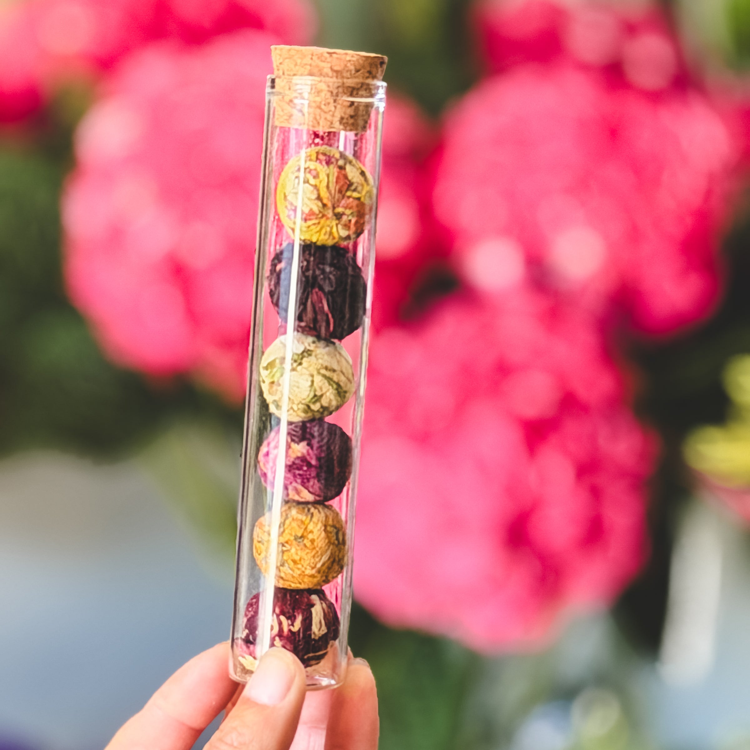 Glass tube of blooming tea balls t a blurred floral background of hydrangeas